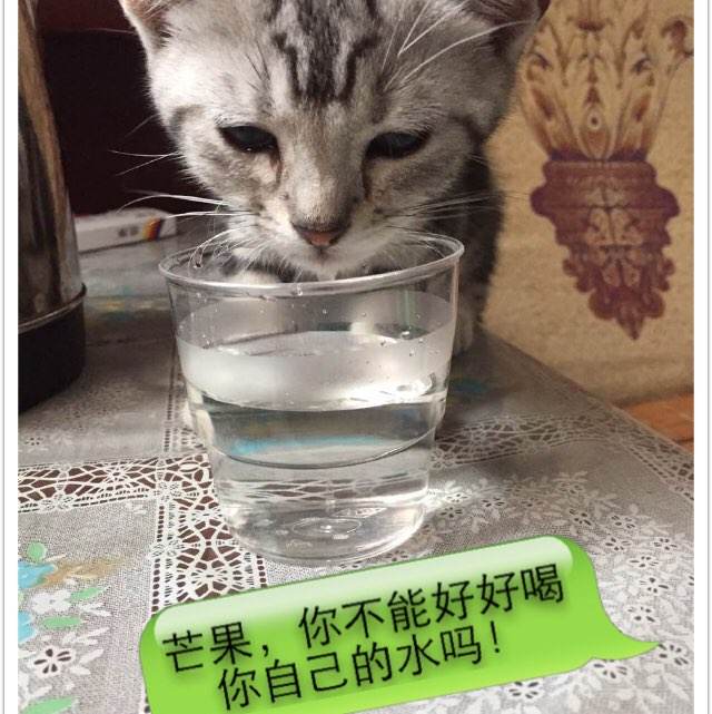 存款证明可用于买房